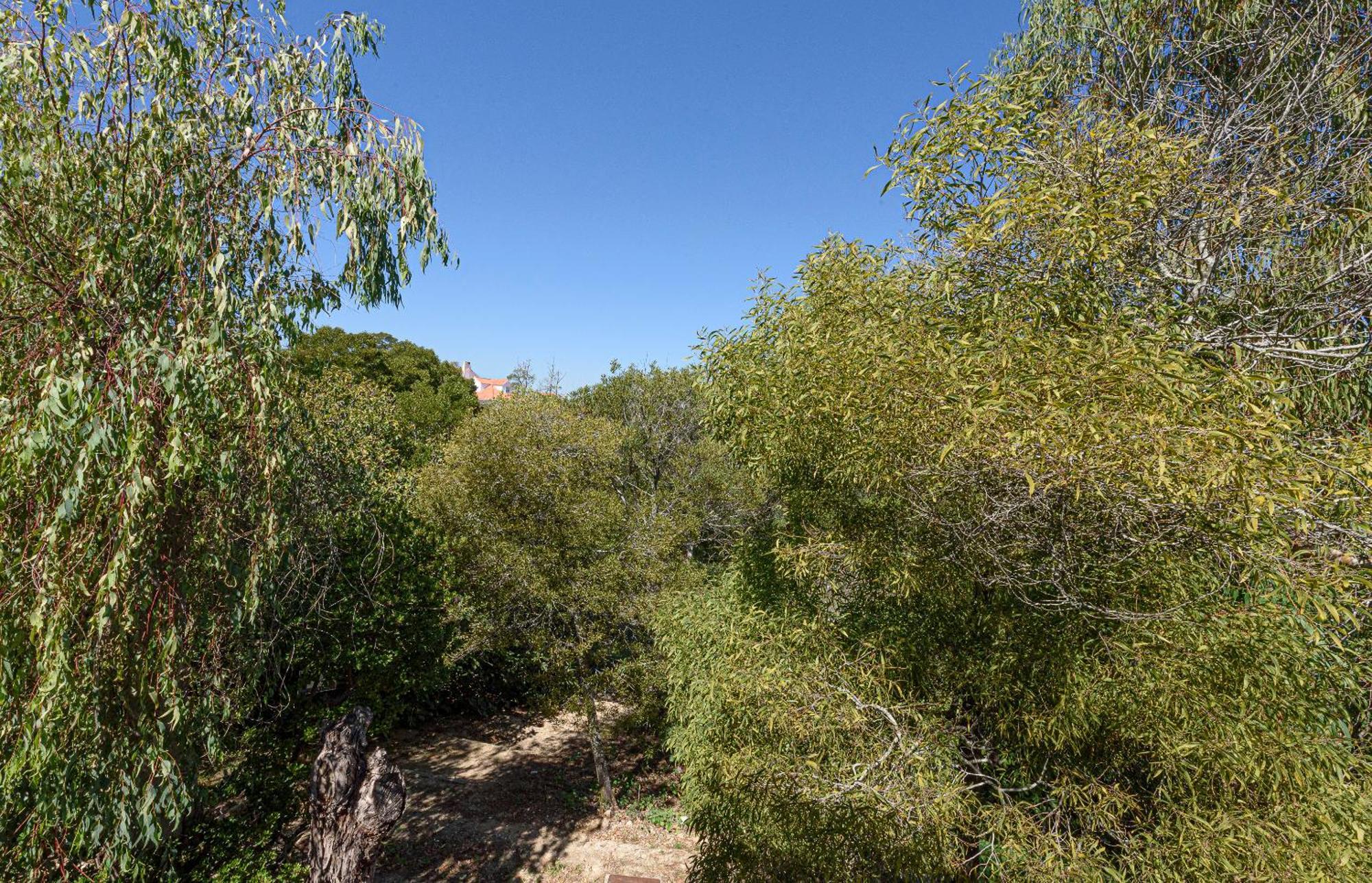 Quinta De Sao Pedro Villa Sobreda Buitenkant foto