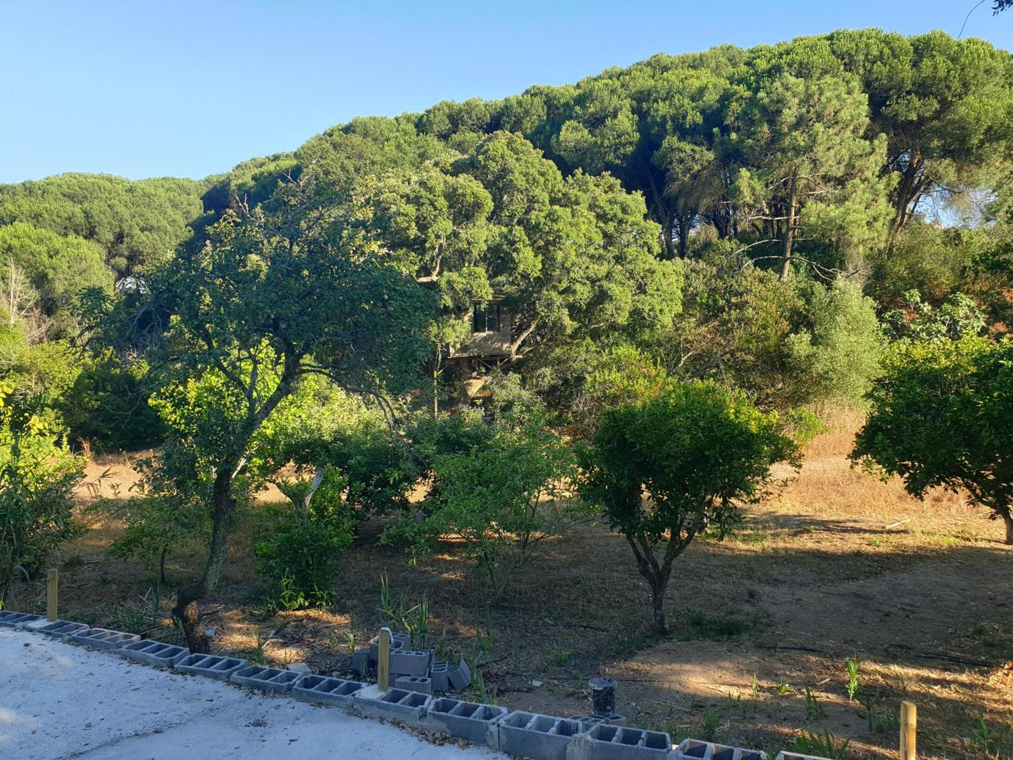 Quinta De Sao Pedro Villa Sobreda Buitenkant foto